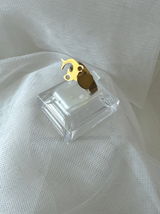 Anello delfino